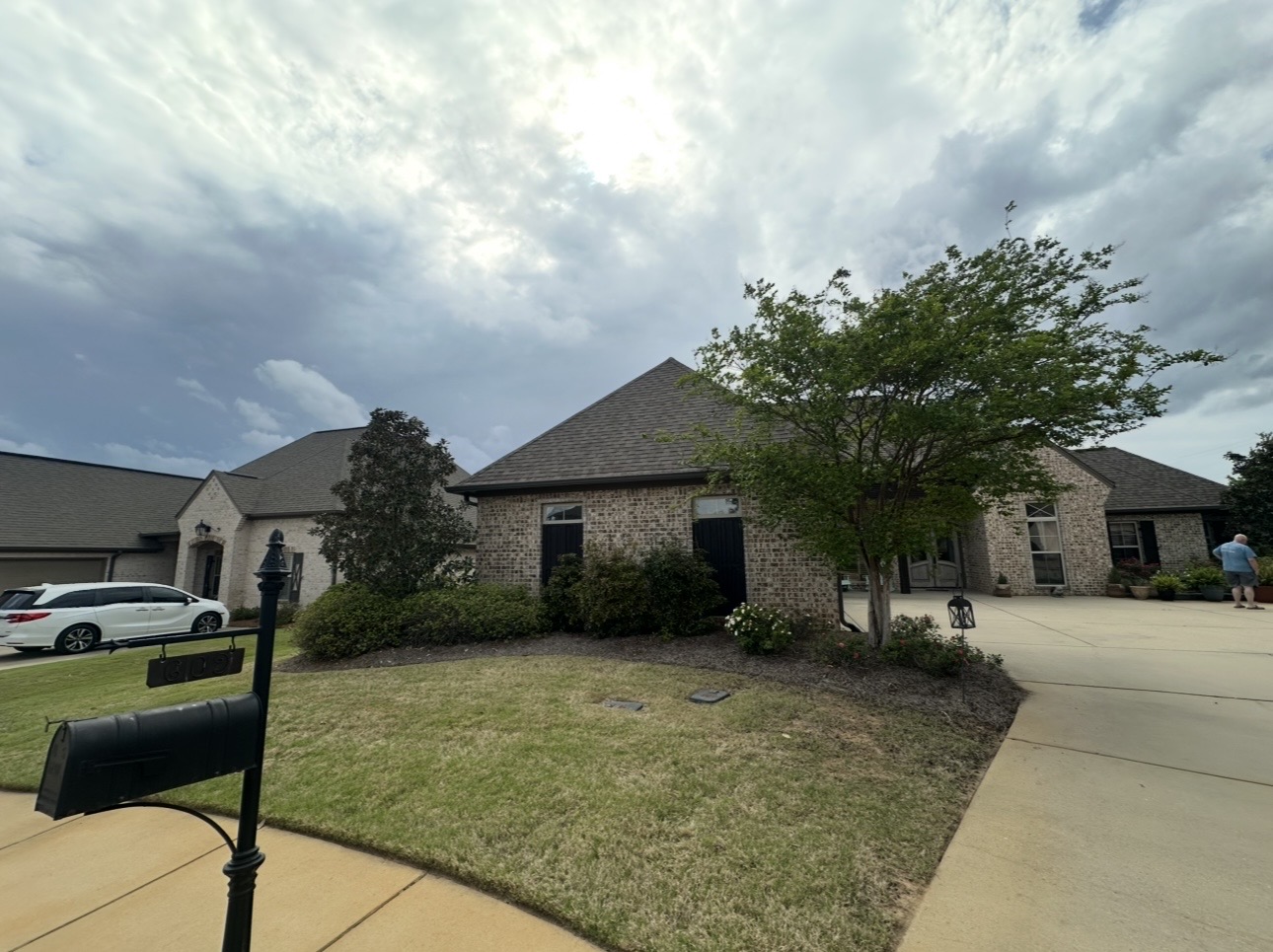 Landscape install — plant and mulch finish